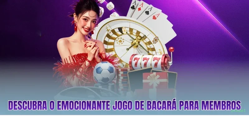 zkkbet